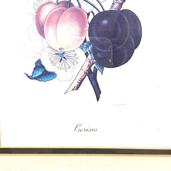 Botanical Lithograph Print Framed in Shadowbox Deep Walnut Solid Wood Frame - Picture 3 of 8